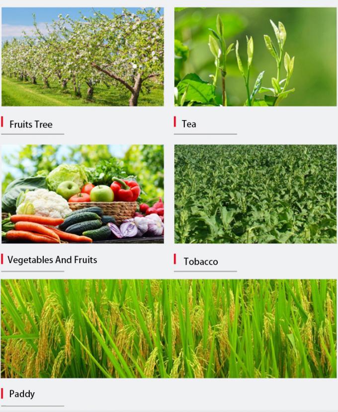 DrAid NPK 22 11 12植物総合的な肥料のオレンジ木肥料のための最も普及したマグネシウム窒素肥料